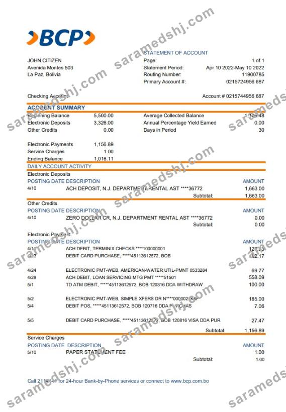 Bolivia banco de crédito de bolivia statement